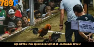 Mẹo Giữ Tâm Lý Ổn Định Khi Cá Cược Đá Gà – Hướng Dẫn Từ 789F